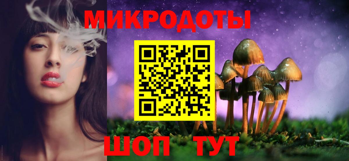 Кудрово  Псилоцибиновые грибы Magic Shrooms  где можно купить   Вход с VPN 